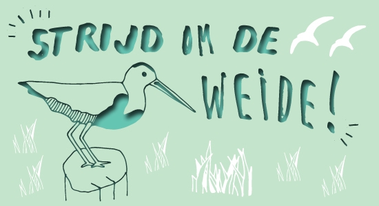 Strijd om de Weide