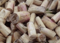 <b>FFF minidocumentaire:</b> Hollandse asperges