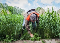 <b>Boodschappen doen in de natuur</b>