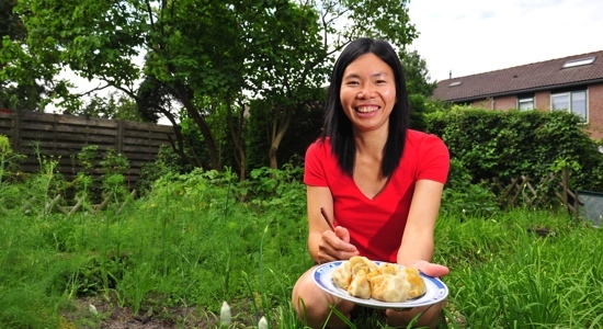 Global Cuisine: Chinese Dumplings